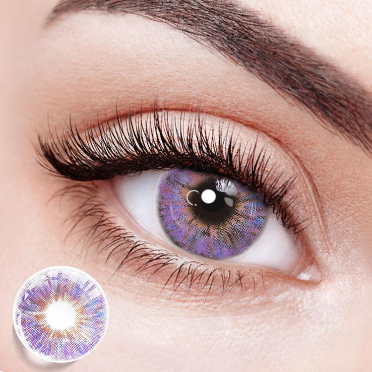 Comet Purple | 1 Year