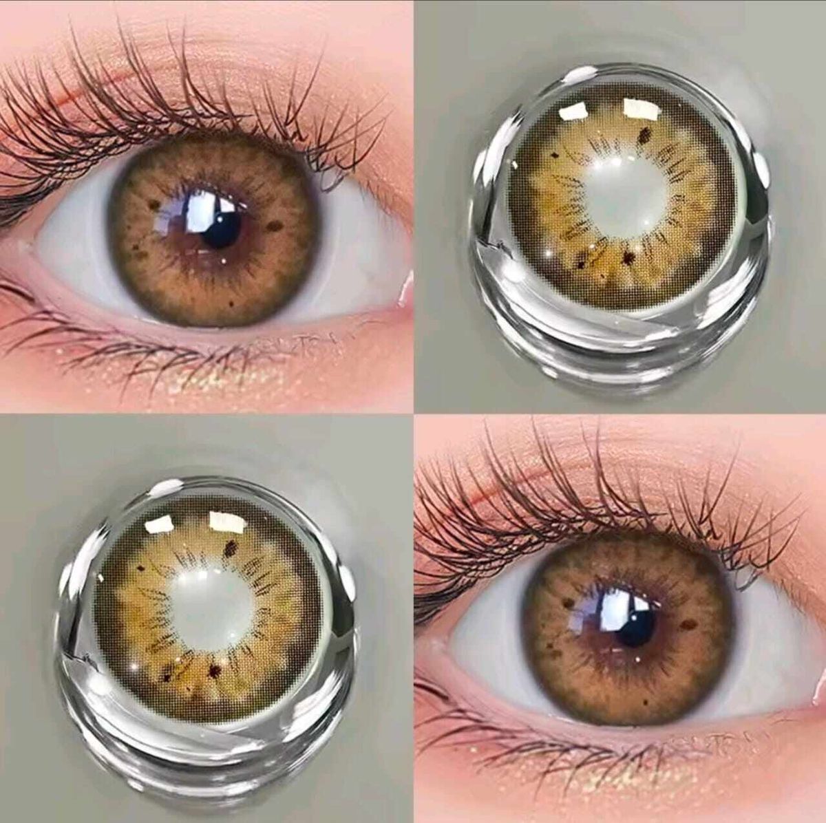 Vintage Hazel Ⅱ | 1 Year