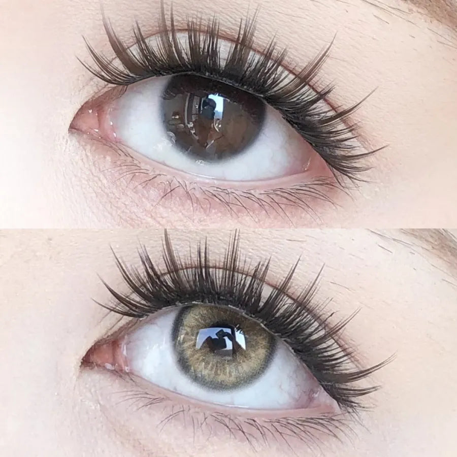 Seattle Brown | 1 Year