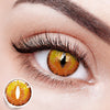 Golden Ruby Cat's Eye | 1 Year