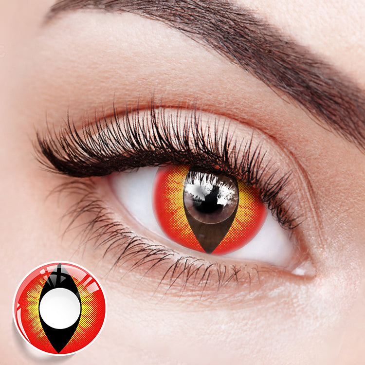 Scarlet Catseye | 1 Year