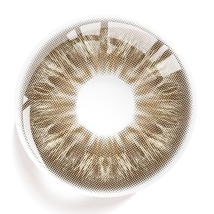 Fiesta Brown | 1 Year