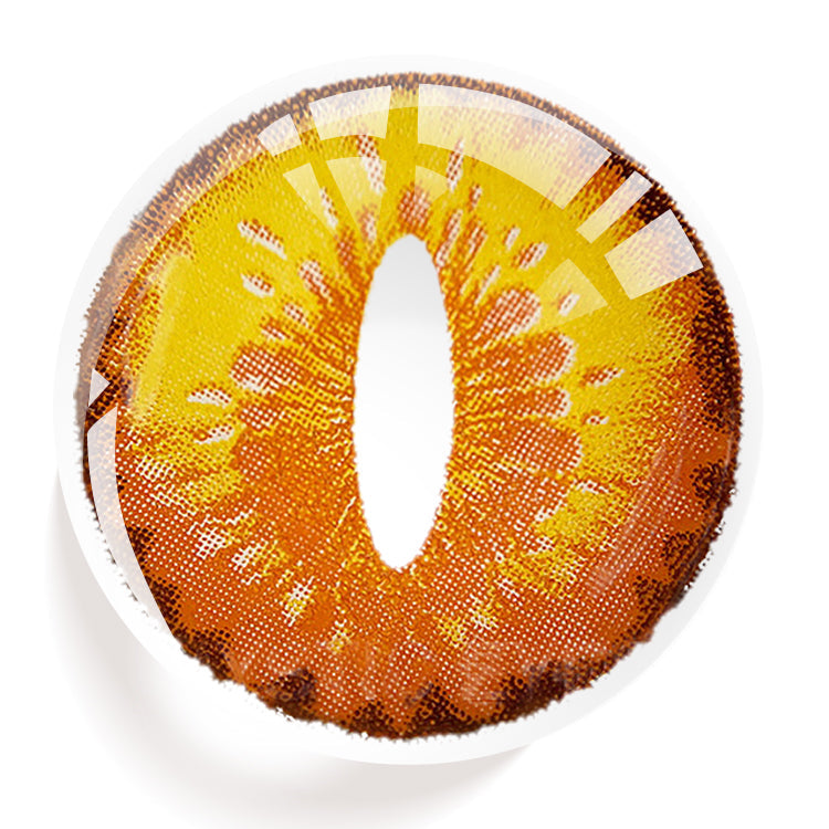 Golden Ruby Cat's Eye | 1 Year