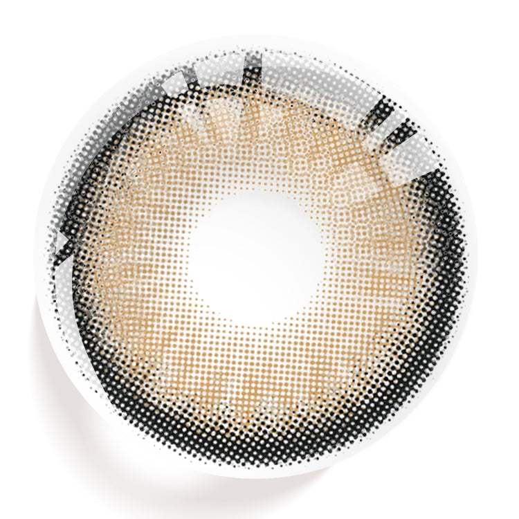 JK Hazel Ⅱ | 1 Year