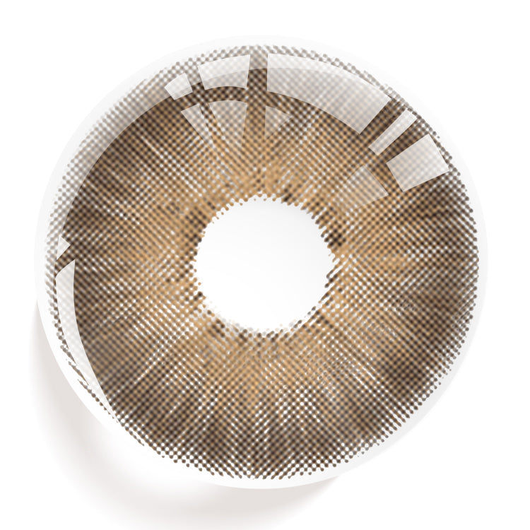 New York Brown | 1 Year