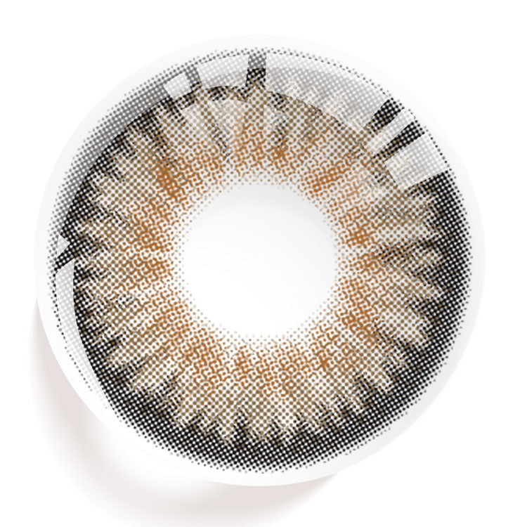 Field Brown | 6 Months