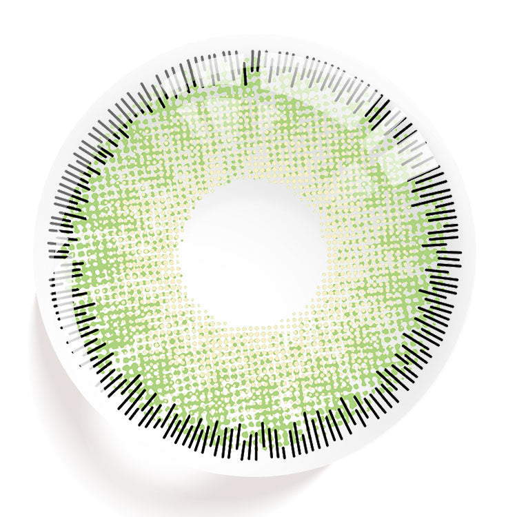 Ocean Green | 6 Months