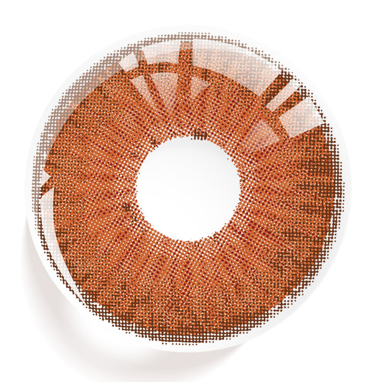 New York Hazel | 6 Months