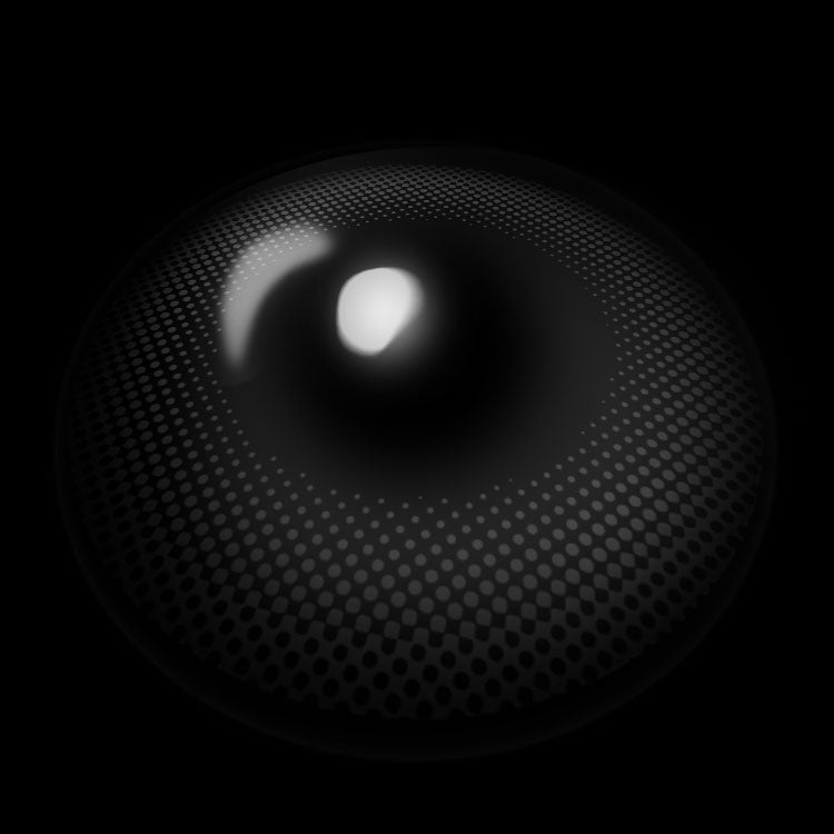 Avela Gray | 6 Months