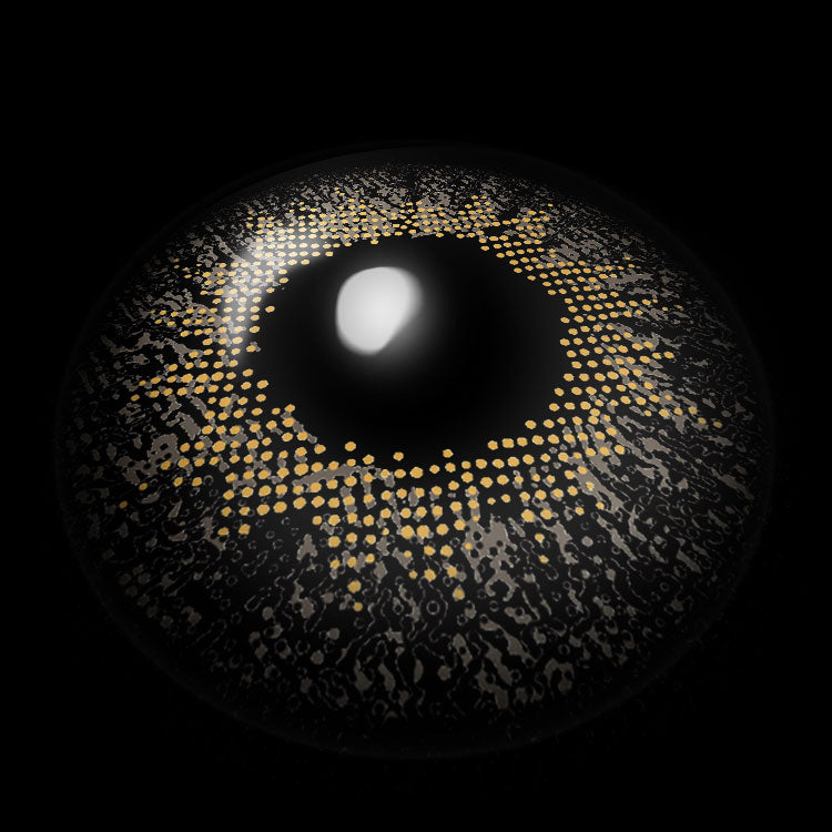 Mona Lisa Gray | 6 Months