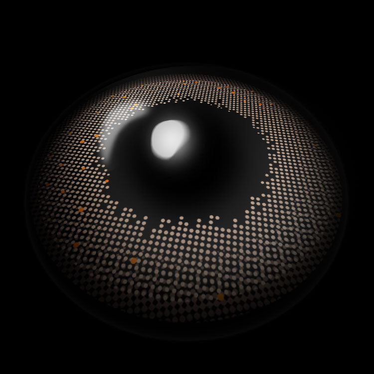 Tokyo Girl Brown | 6 Months