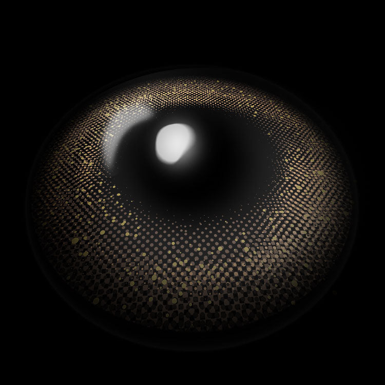 Stardust Brown | 6 Months