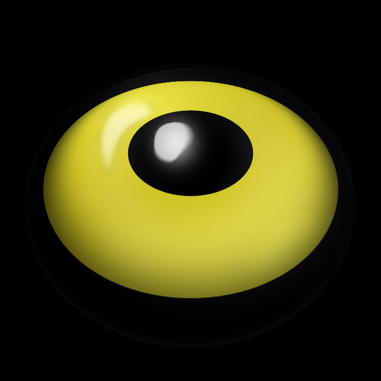 Sunburst Ringed Gaze | 1 Year