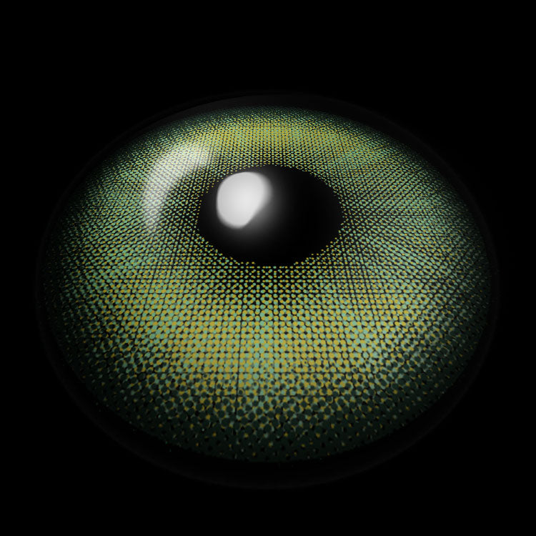 Graceful Mint Green | 6 Months