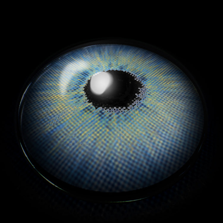 Manhattan Blue | 1 Year