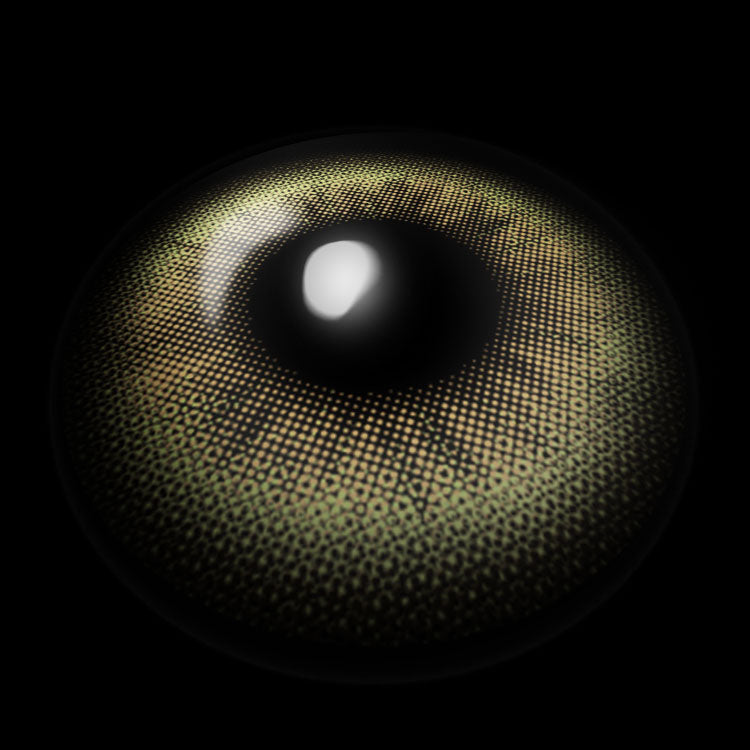 Pastel Green | 6 Months