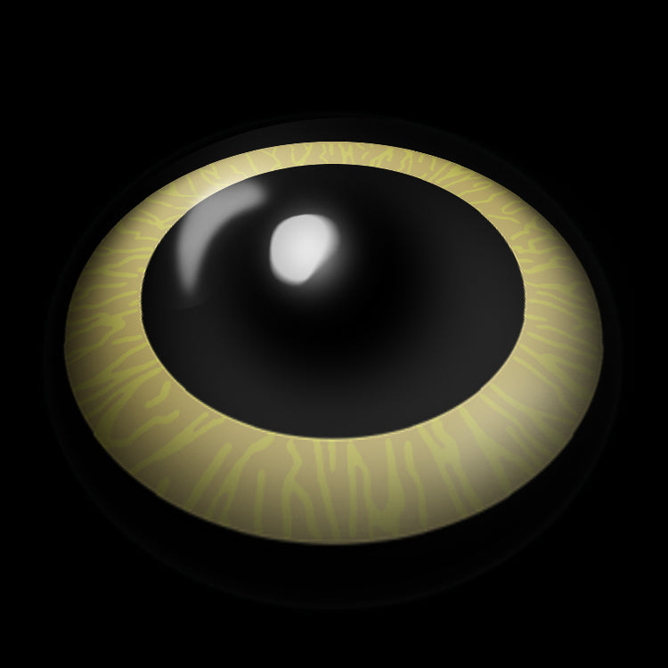 Chainsaw Man Shadow Eye | 1 Year