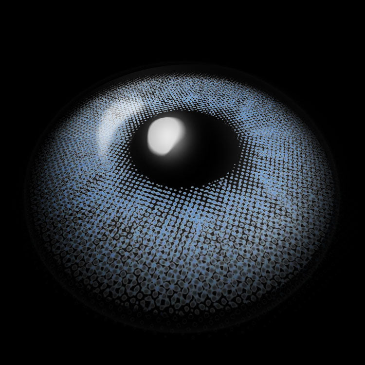 Silvana Blue | 1 Year