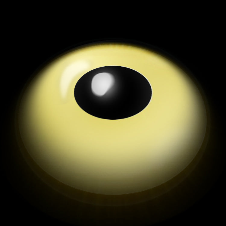 Yellow Sunbeam Eyes | 1 Year