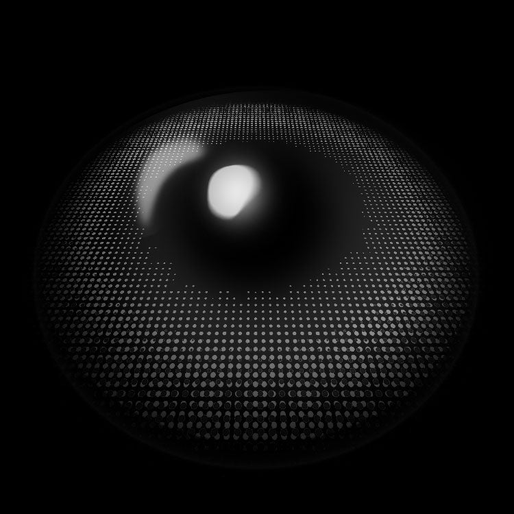 Delight Gray | 6 Months