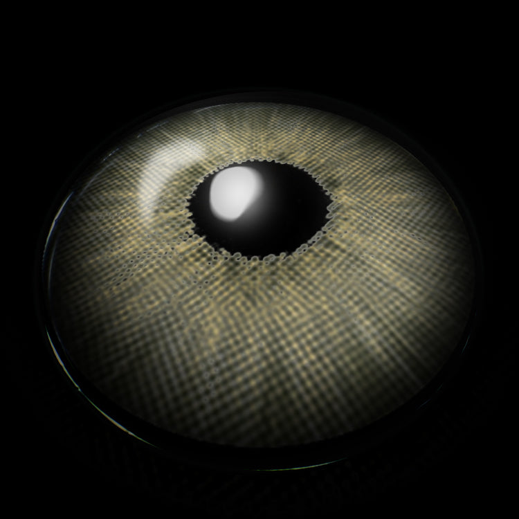 New York Green | 1 Year