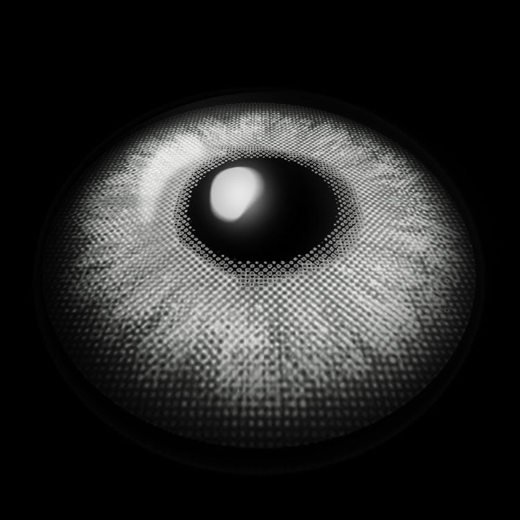 Apricus Gray | 1 Year