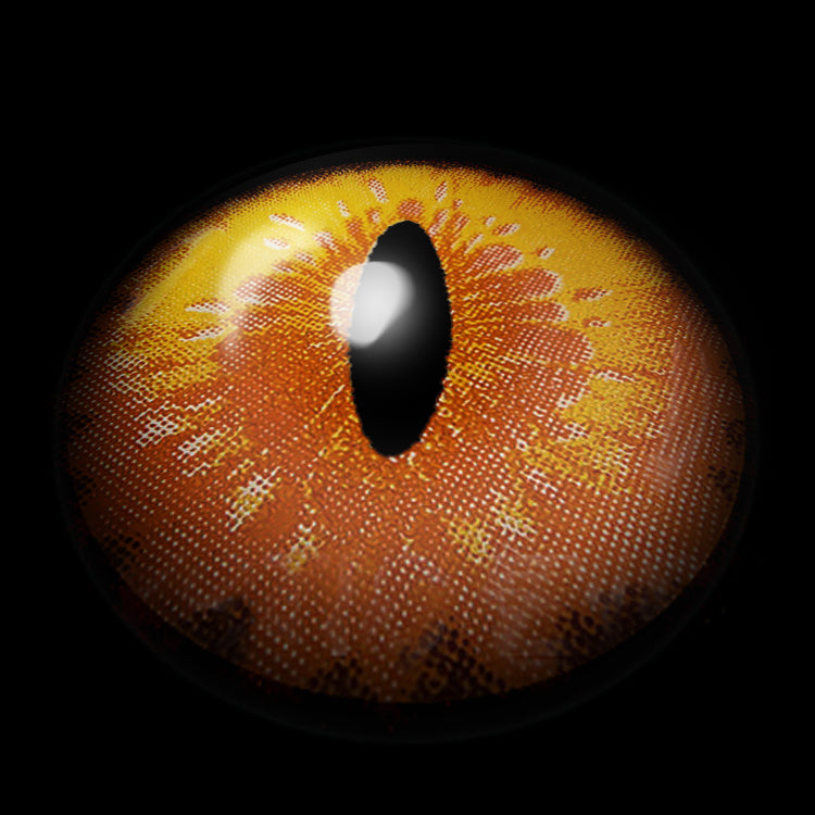 Golden Ruby Cat's Eye | 1 Year