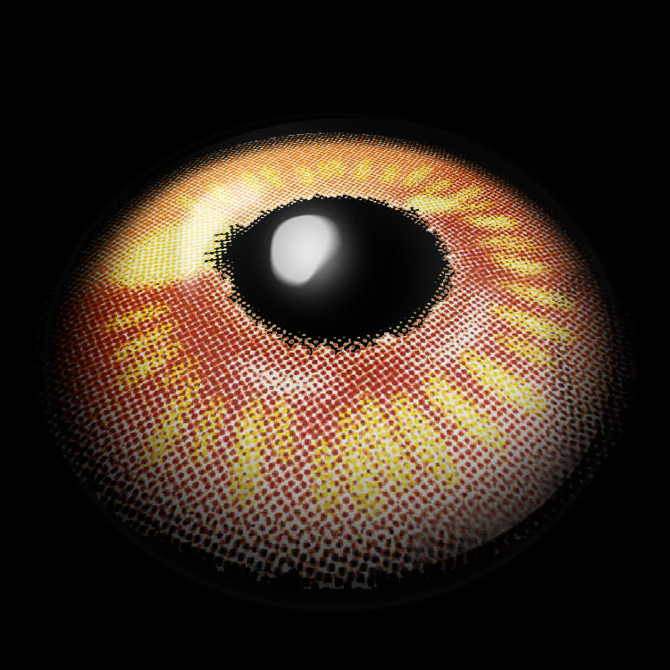 Golden Orange Hues | 1 Year