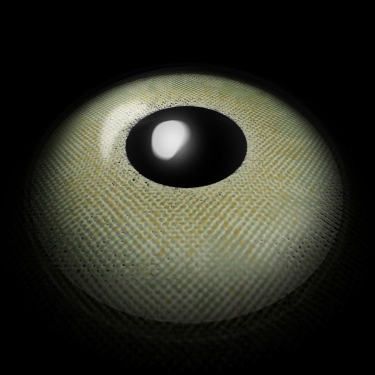 Springtime Green | 1 Year