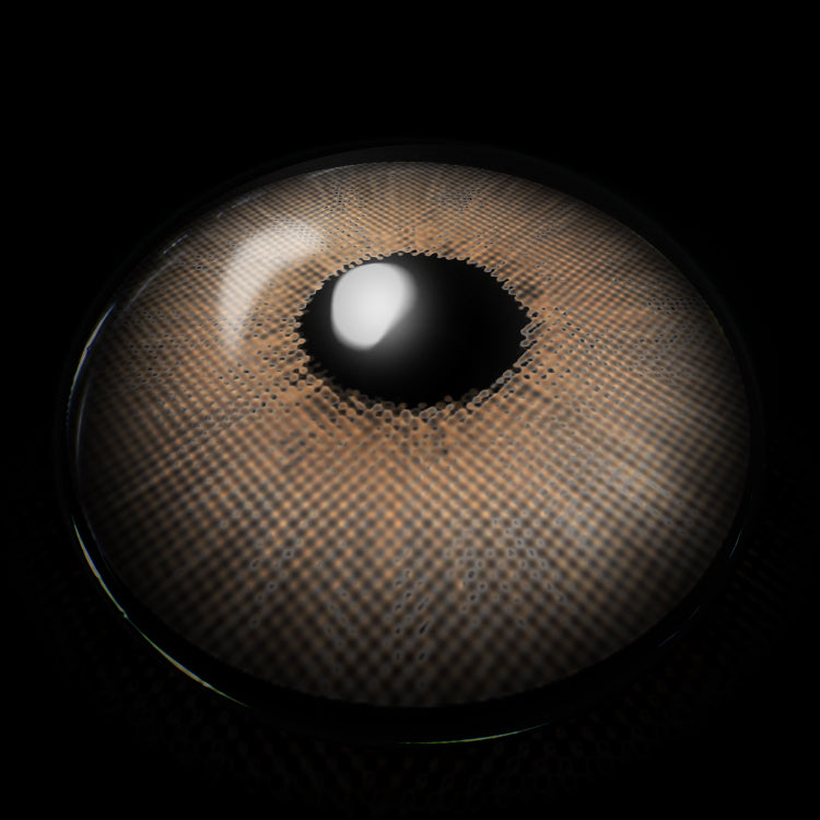 New York Brown | 1 Year