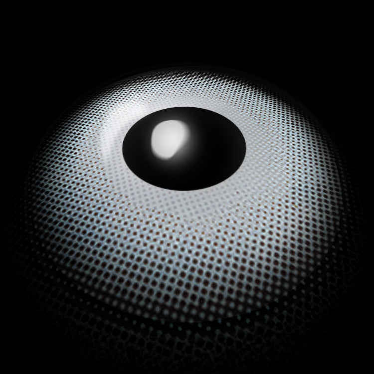 Elegant Blue | 1 Year