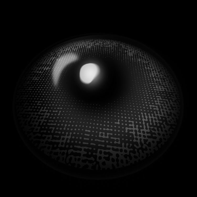 Nebulae D-Gray | 6 Months