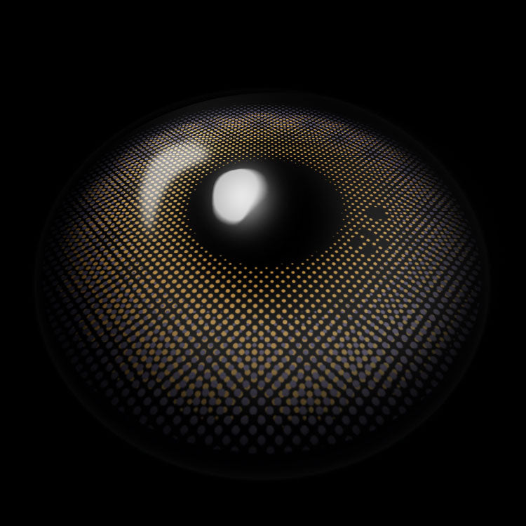 Rime L-Brown | 6 Months