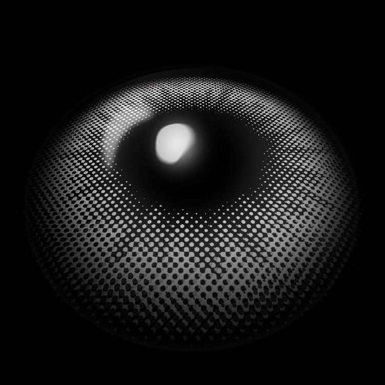 Sicilian Gray | 6 Months