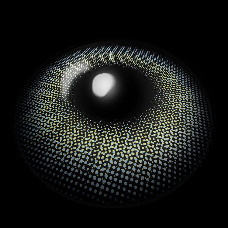 Euramerican L-Blue | 6 Months