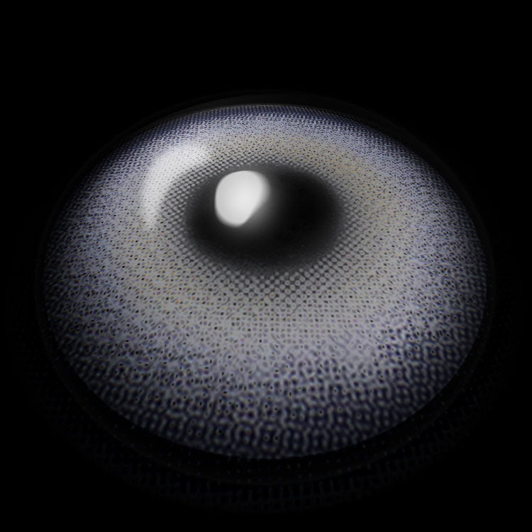 Gene Purple | 1 Year