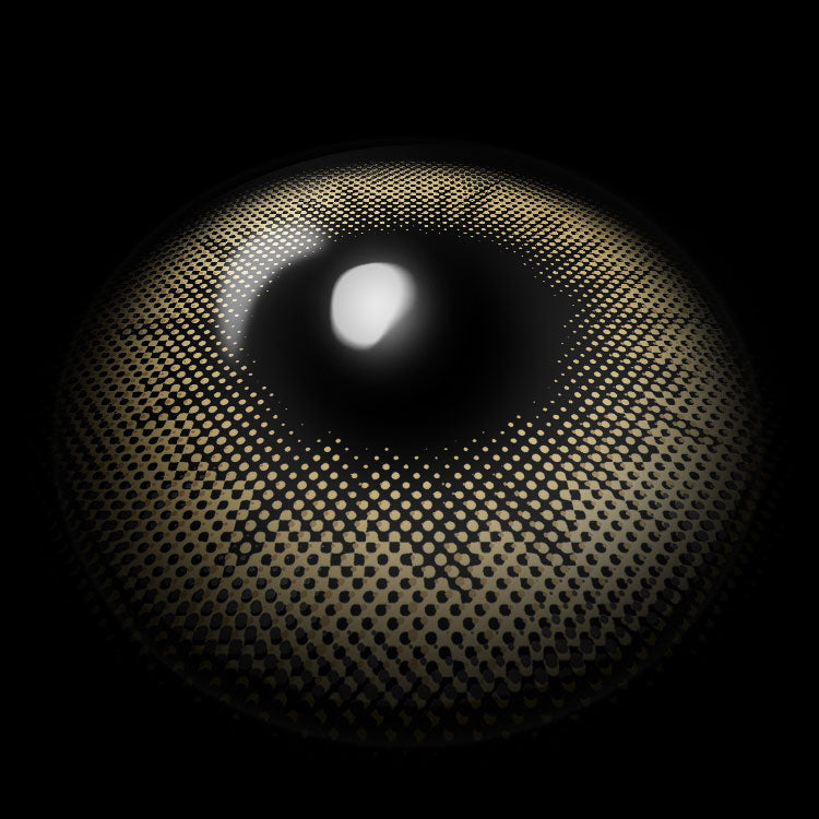 Sicilian Brown | 6 Months