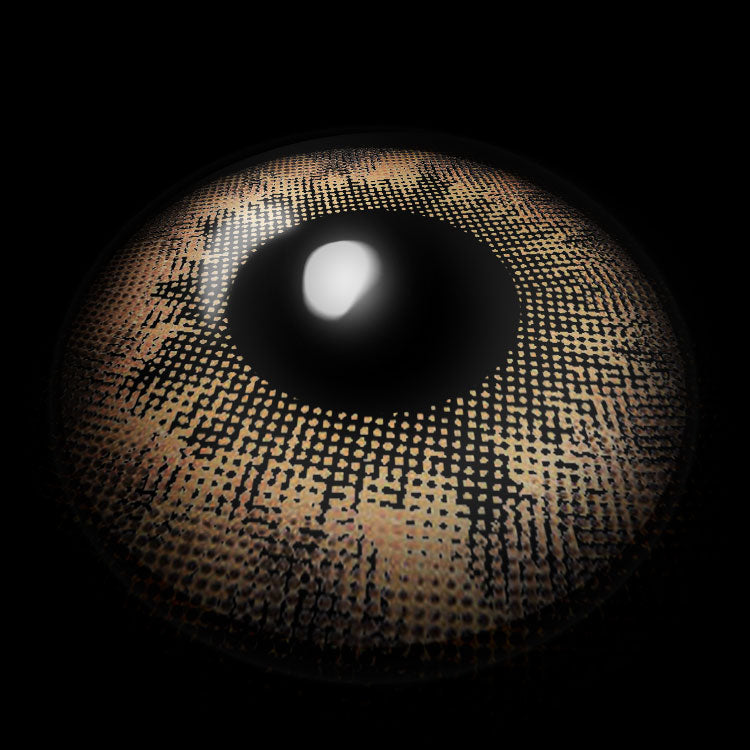 Apricity Brown | 1 Year