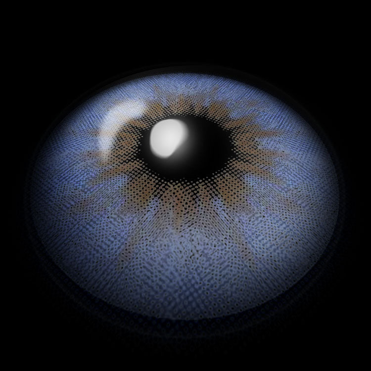 Fiesta Blue | 1 Year