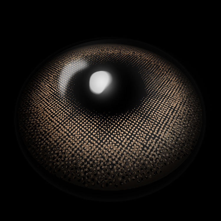 Nebulae Brown | 6 Months