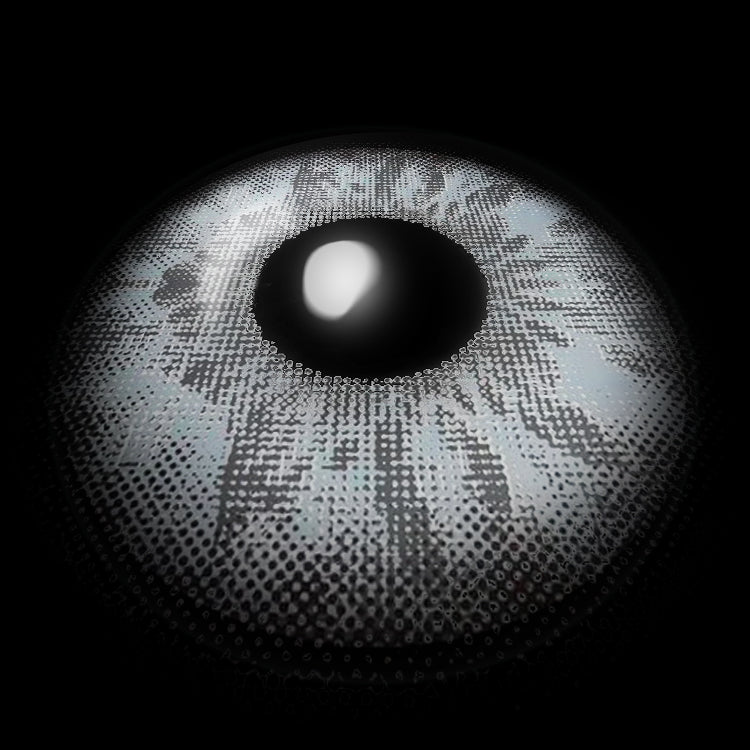 Wildcat Gray | 1 Year