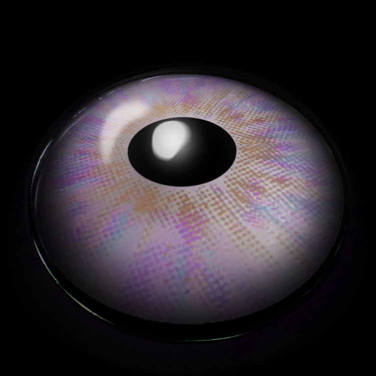 Comet Purple | 1 Year