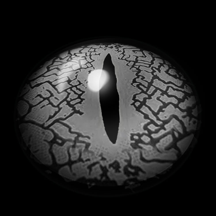 SerpenSight Black | 1 Year