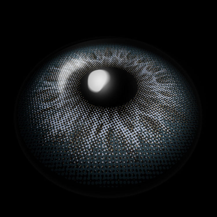 Nordic Mist Blue | 6 Months