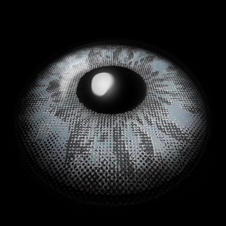 Wildcat D-Gray | 1 Year