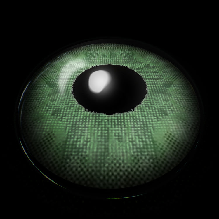 Wildcat Green | 6 Months