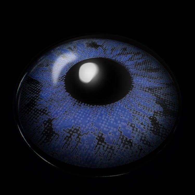 Wildcat Blue |6 Months