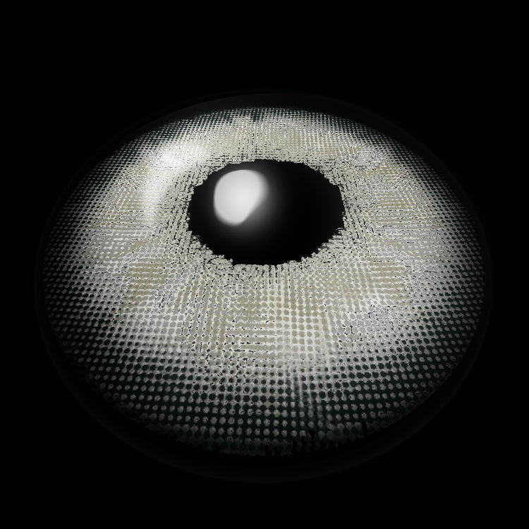 Crystalline Gray | 1 Year