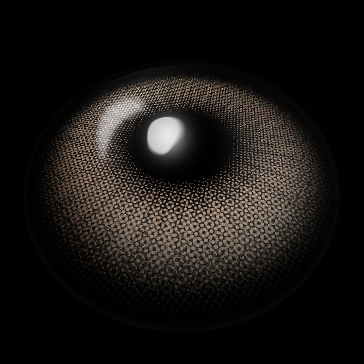 Flora Brown | 6 Months