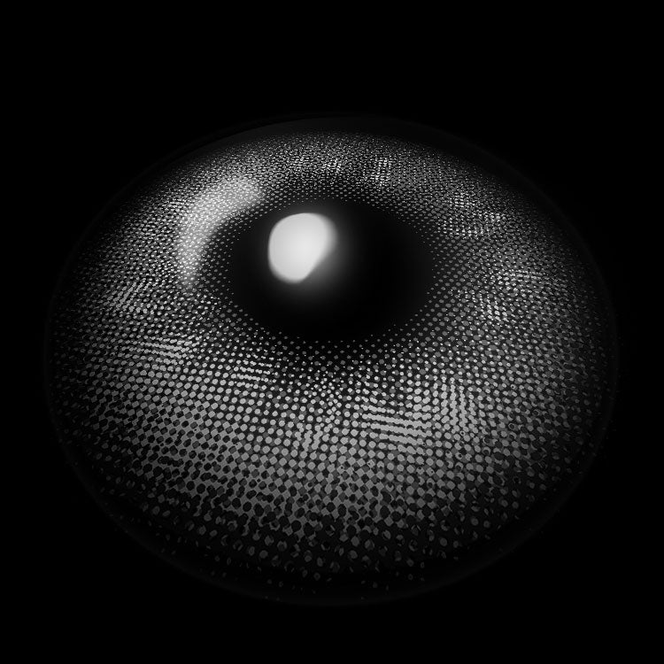 Glassball Gray | 6 Months